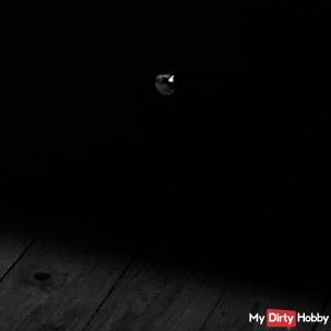 Amateure, Amateurmodelle, Private Amateure, Amateursex, Amateur Videos