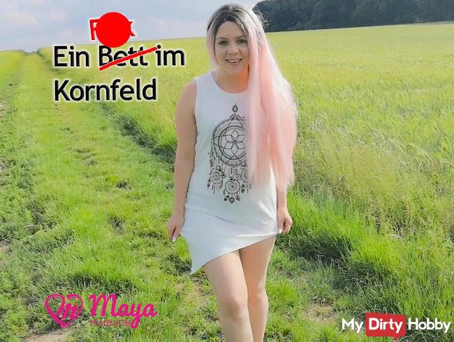 3 Loch Fick im Kornfeld