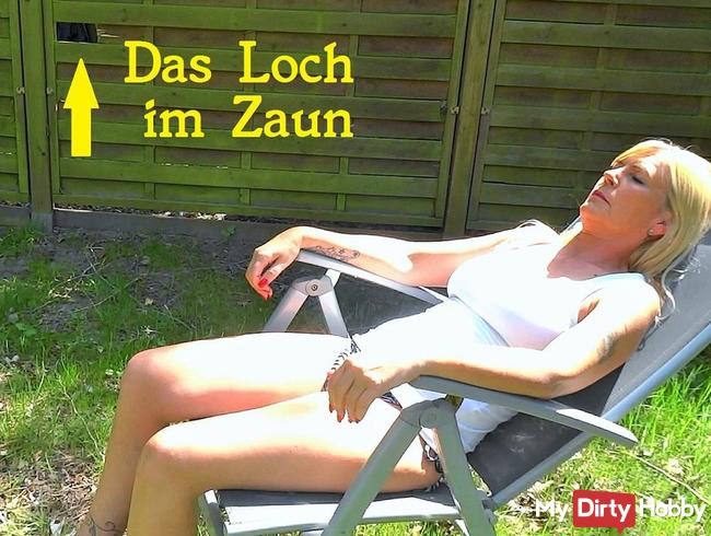 Dreister Nachbar - Das Loch im Zaun