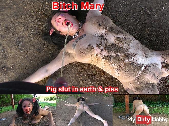 pig slut pig slut